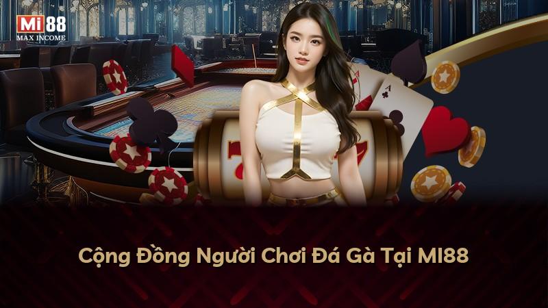 Cộng Đồng Người Chơi Đá Gà Tại MI88