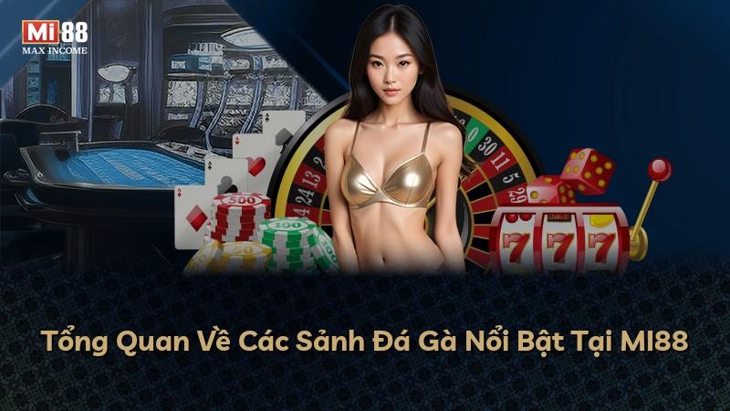 Tổng Quan Về Các Sảnh Đá Gà Nổi Bật Tại MI88
